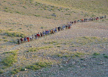 تصاویر علم کوه تصاویر علم کوه