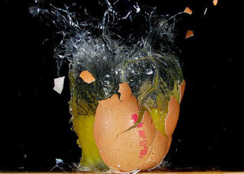 گالری تصاویر گالری تصاویر