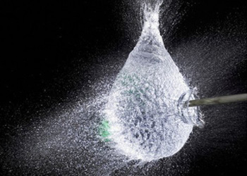 گالری تصاویر عکاسی گالری تصاویر عکاسی