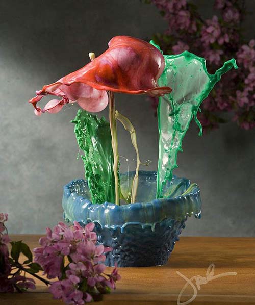 گالری تصاویر عکاسی گالری تصاویر عکاسی